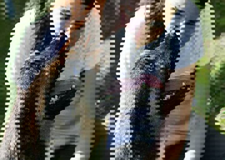 16_05220498.jpg