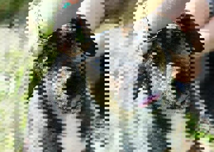 16_05220499.jpg