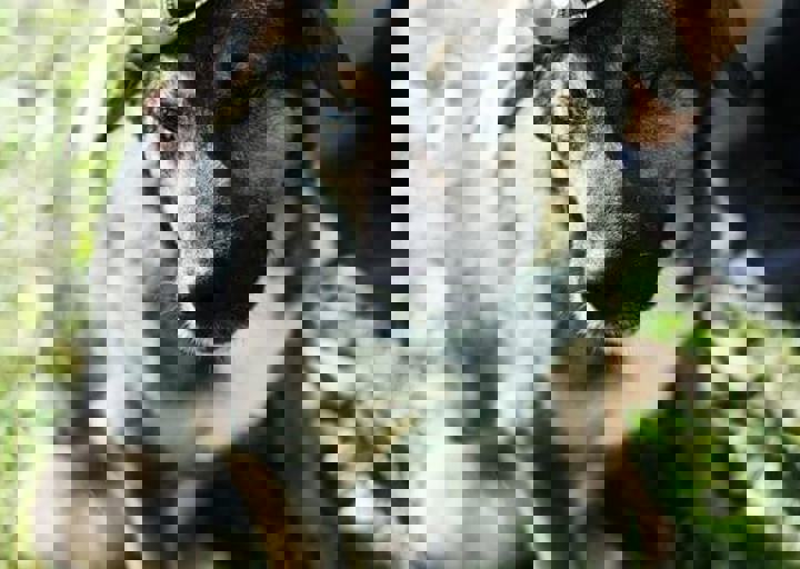 16_05220500.jpg