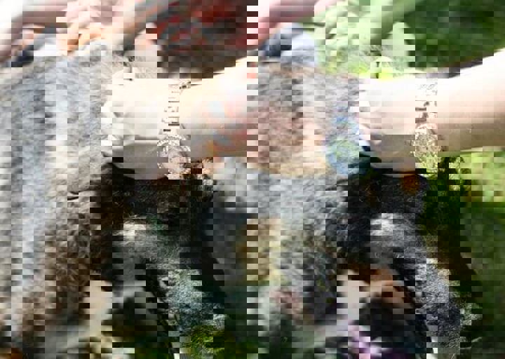 16_05220501.jpg