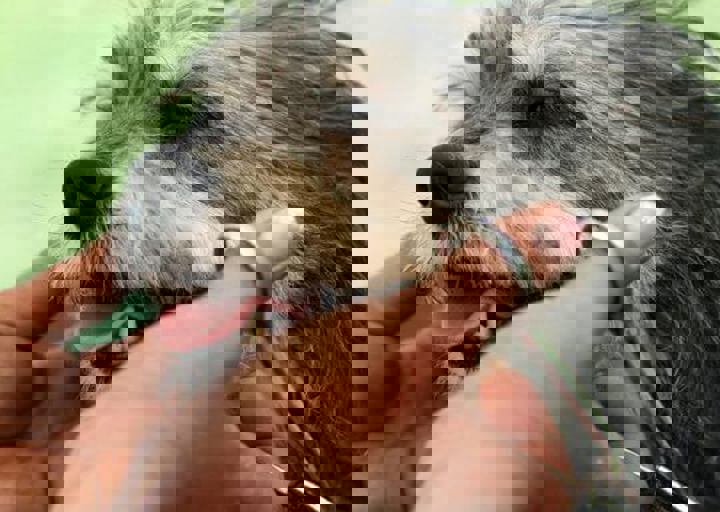 16_05220503.jpg