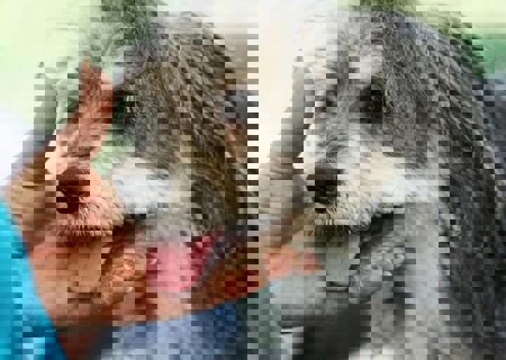 16_05220504.jpg