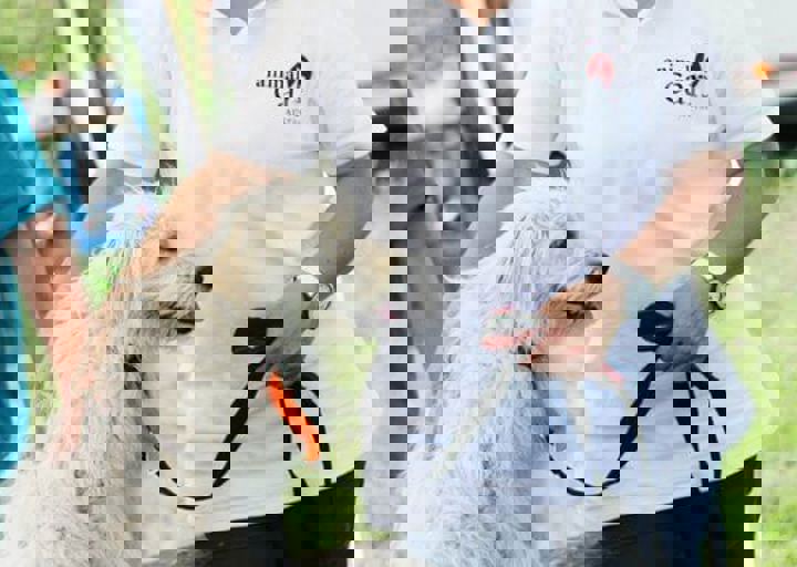 16_05220508.jpg