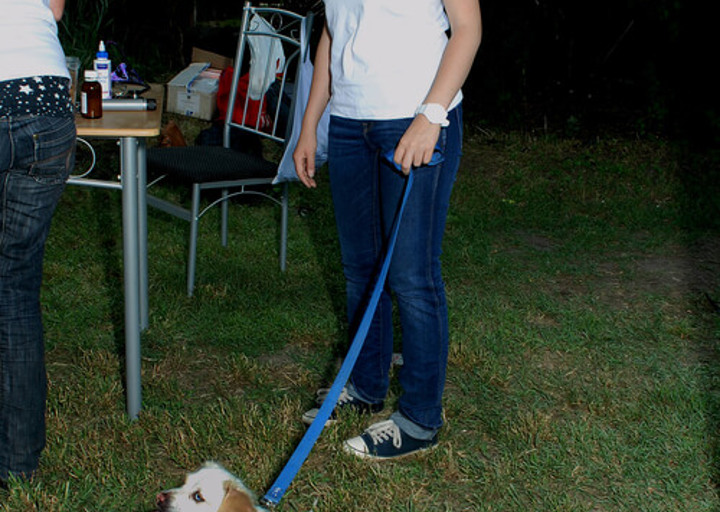 DSC_0129small.jpg