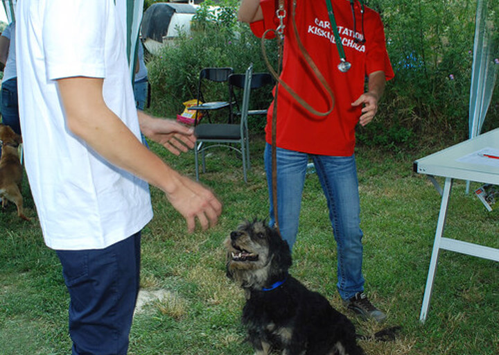 DSC_0131small.jpg