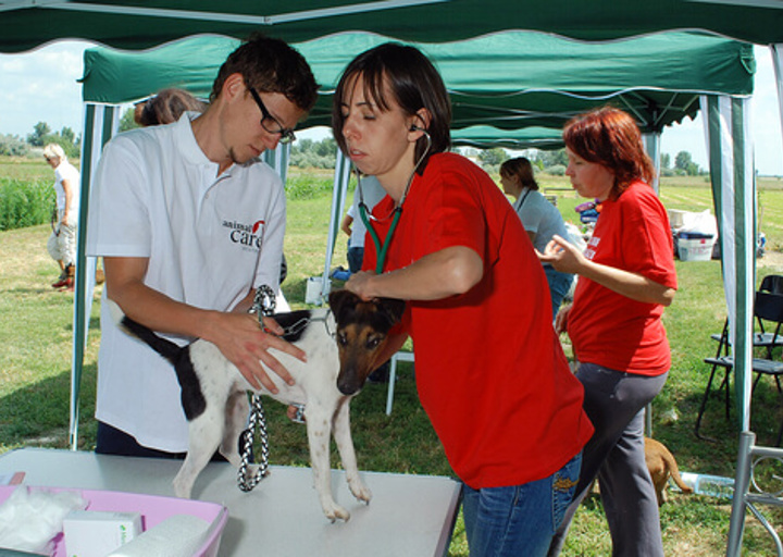 DSC_0189small.jpg