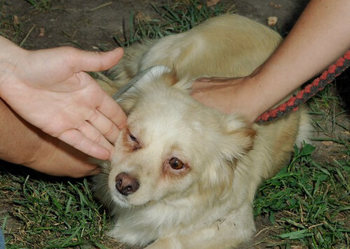 DSC_0263small.jpg