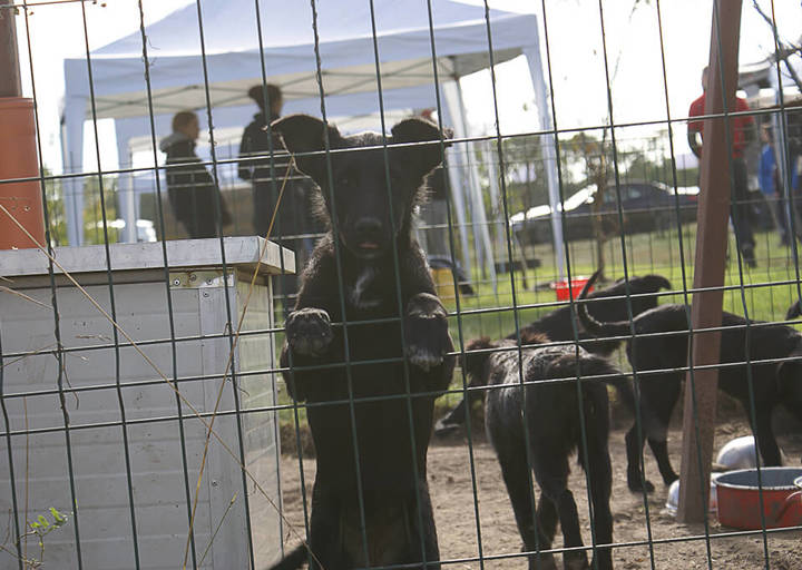 Kopie Von 25 10120111