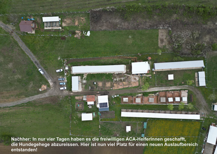 Aca Tierheim Svilos 21