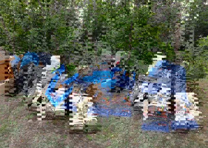 DSC05375.JPG