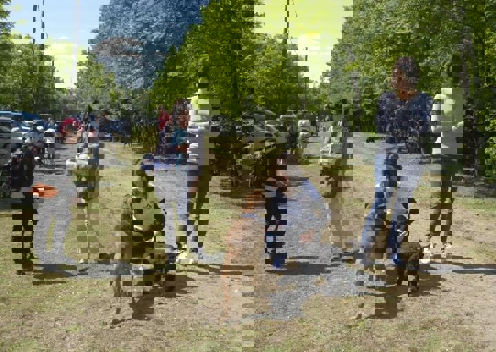 _BZS2280.JPG