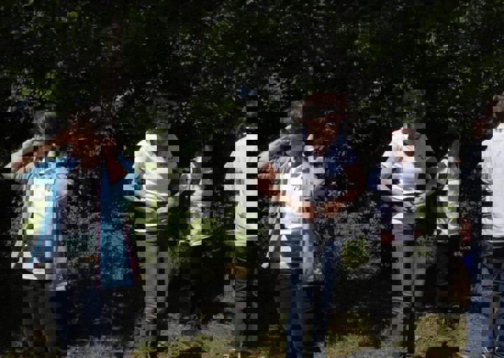 _BZS2302.JPG