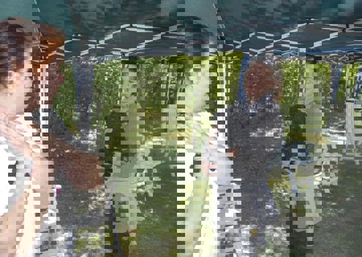 _BZS2306.JPG