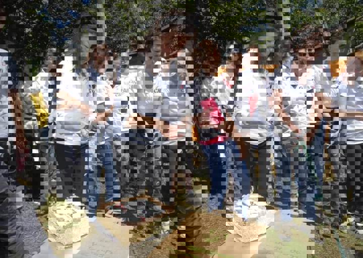 _BZS2326.JPG