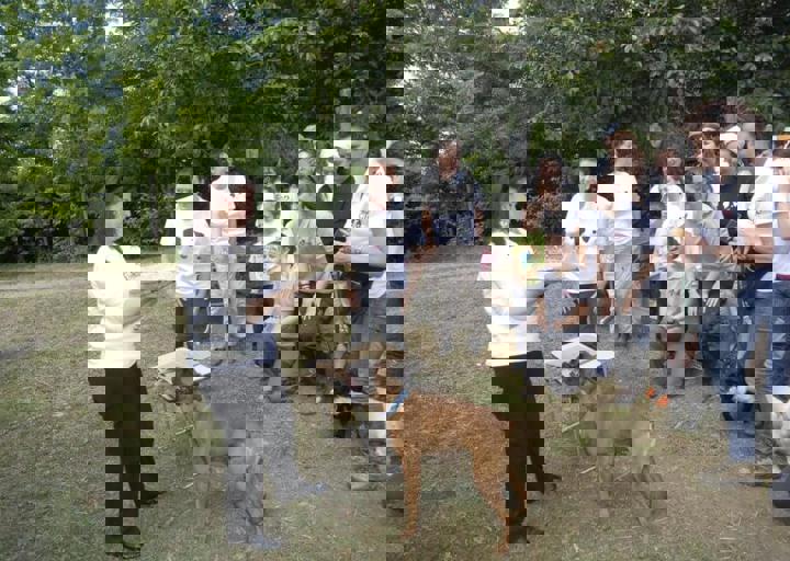 _BZS2337.JPG