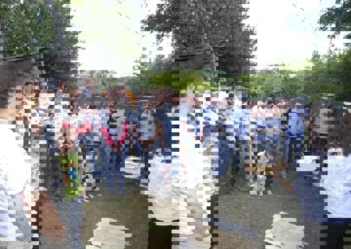 _BZS2340.JPG