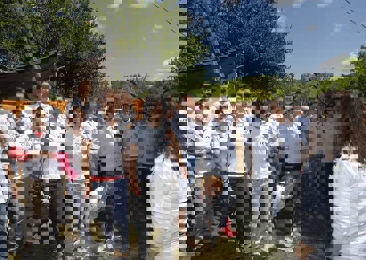 _BZS2343.JPG