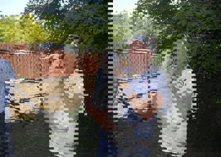 _BZS2348.JPG