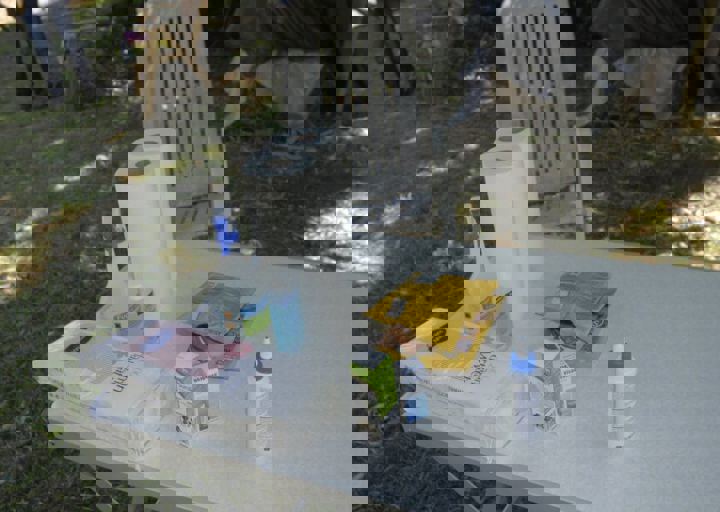 _BZS2349.JPG