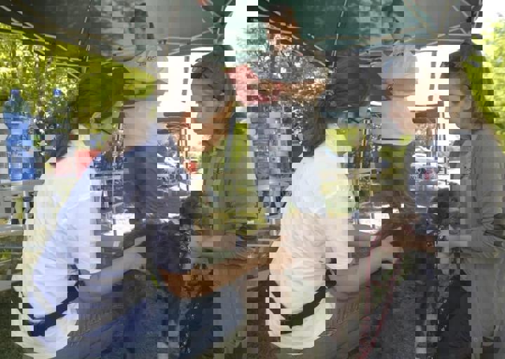 _BZS2361.JPG