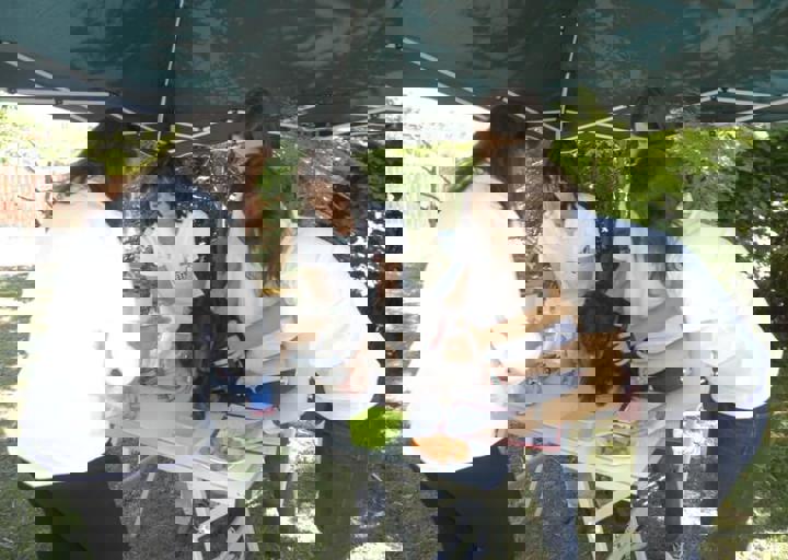 _BZS2367.JPG
