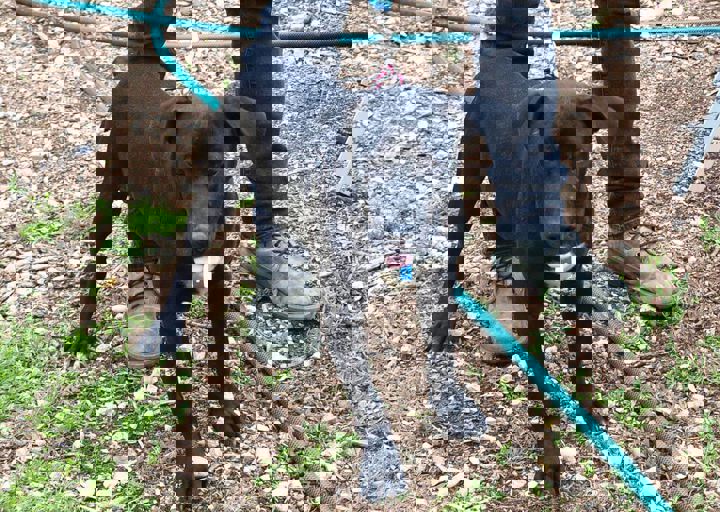 16_05150003.jpg