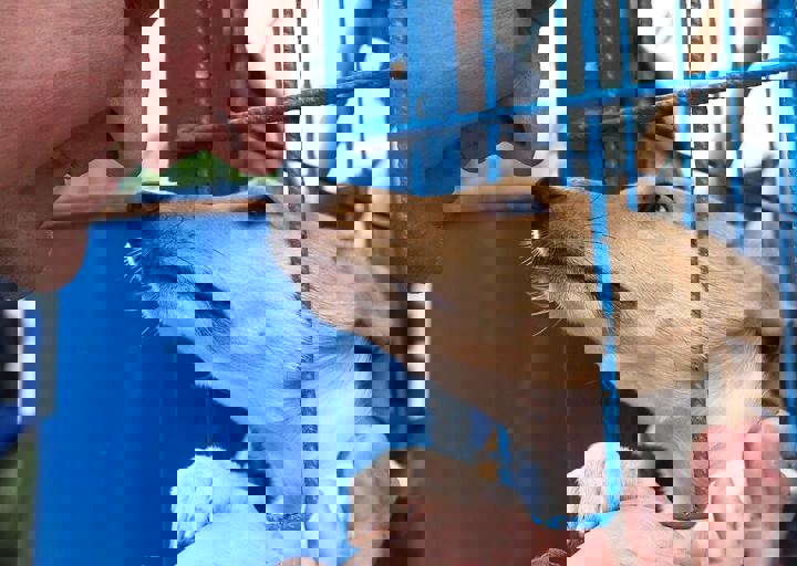 16_05150004.jpg