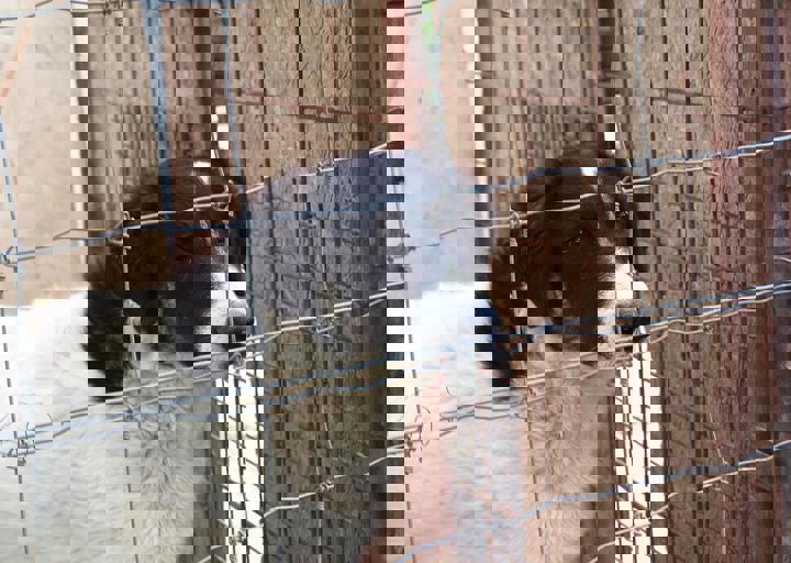 16_05150006.jpg