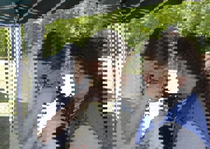 _BZS2379.JPG
