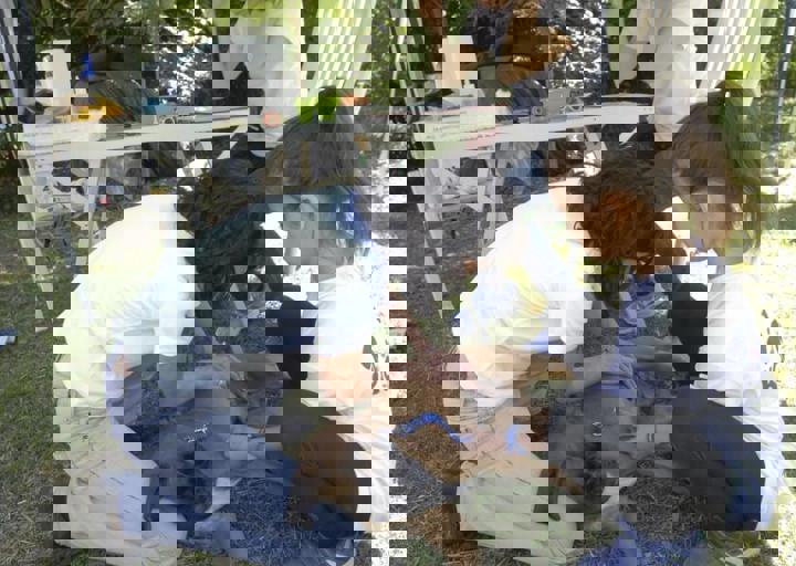 _BZS2380.JPG