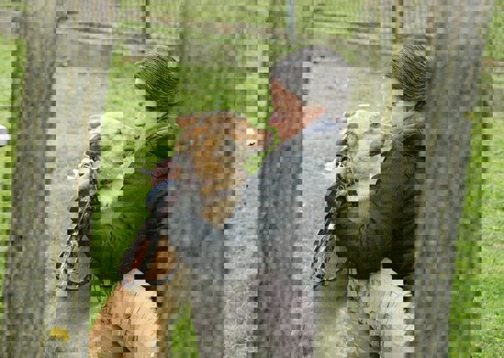 16_05150009.jpg