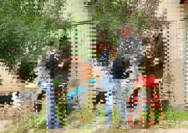 16_05150011.jpg