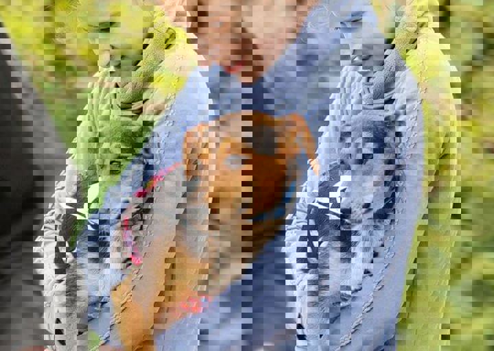 16_05150013.jpg