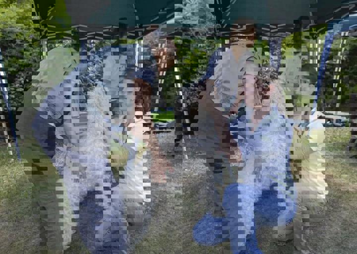 _BZS2387.JPG