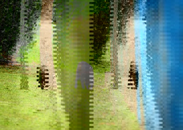 16_05150016.jpg
