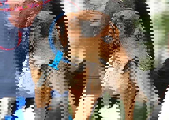 16_05150018.jpg