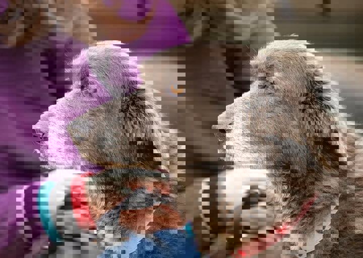 16_05150022.jpg