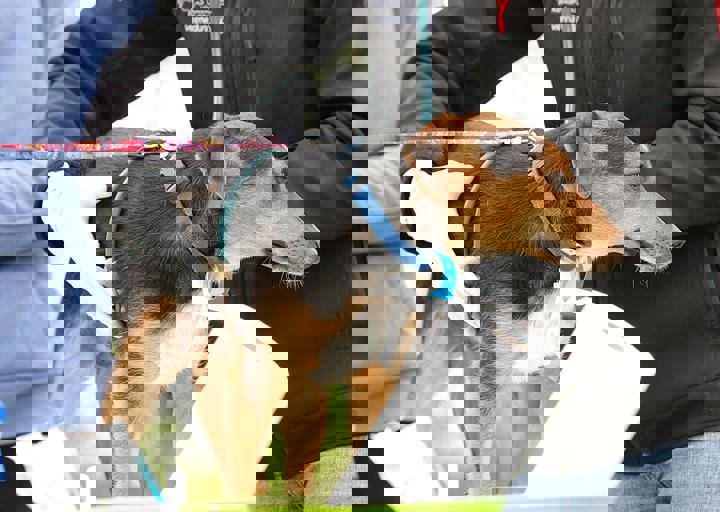 16_05150023.jpg