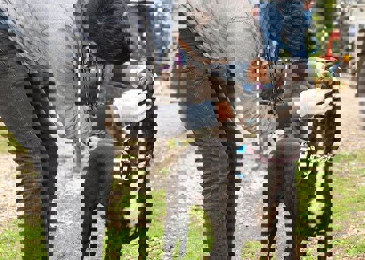 16_05150029.jpg