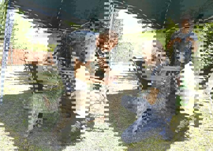 _BZS2402.JPG