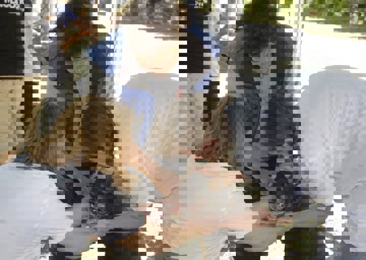 _BZS2405.JPG