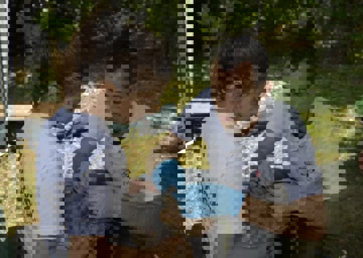 _BZS2406.JPG
