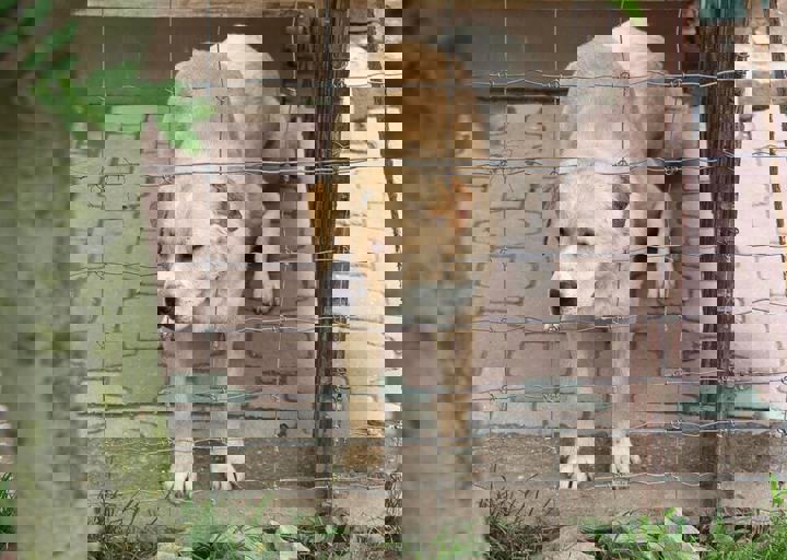 16_05150033.jpg