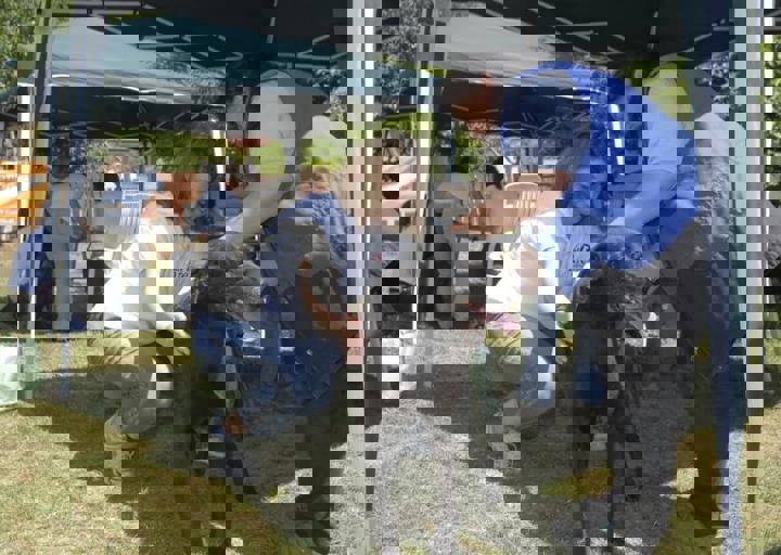 _BZS2411.JPG