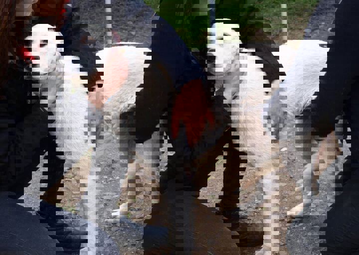 16_05150038.jpg