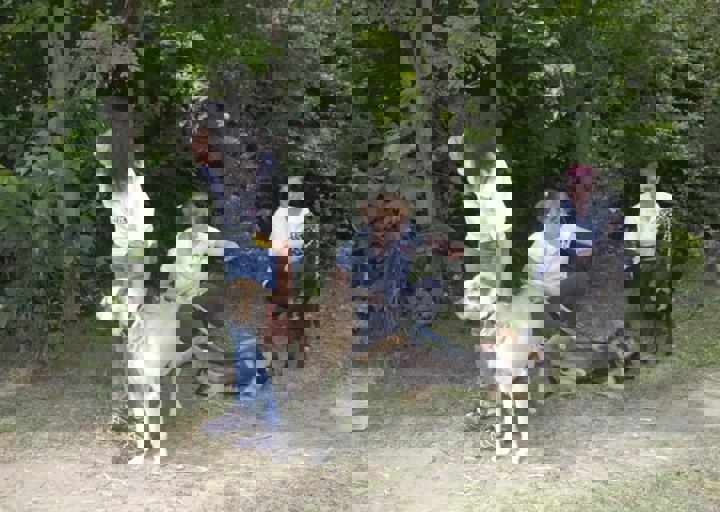 _BZS2413.JPG
