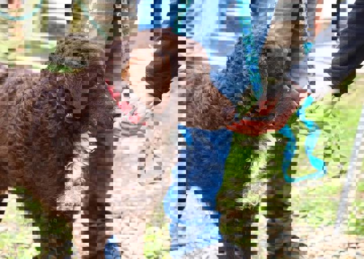 16_05150042.jpg