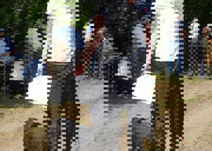 _BZS2418.JPG