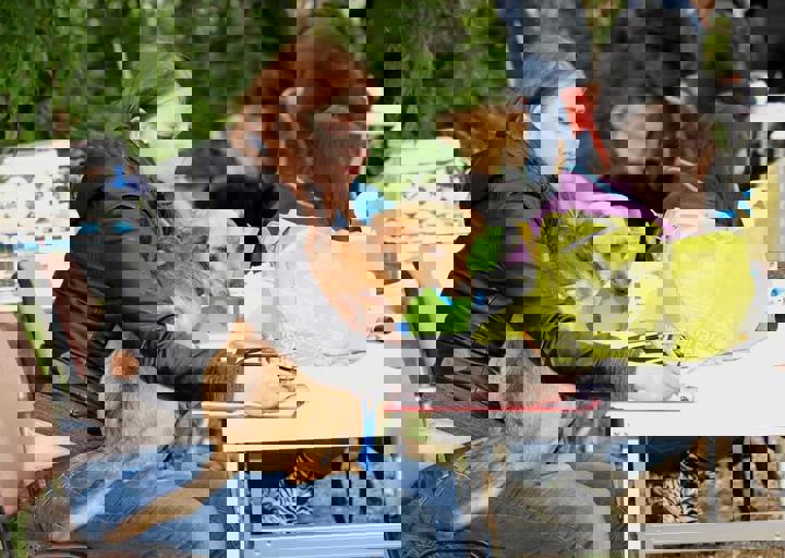 16_05150043.jpg