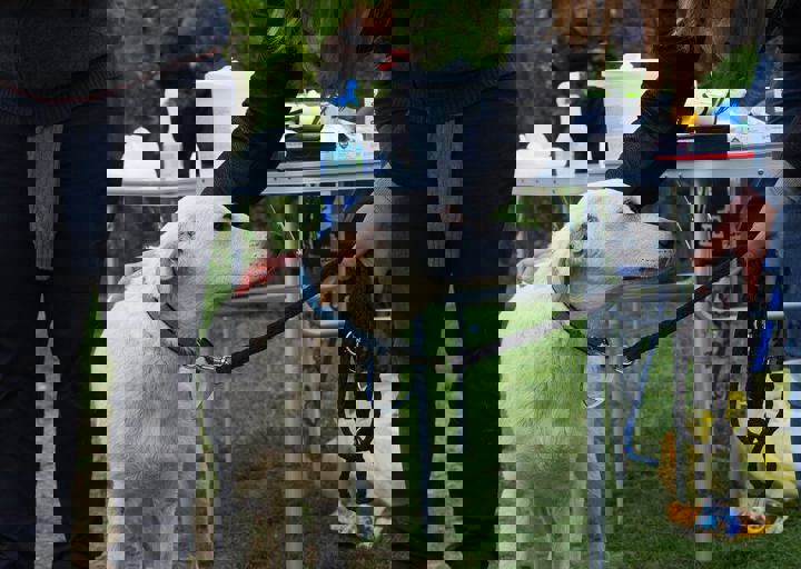 16_05150046.jpg